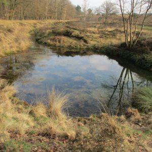 Sprengebeek Wolfheze Natuurlijke kunst